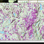FO70FO Riviere au Bouleau ((Hunt-A-Moose)) Preview 1