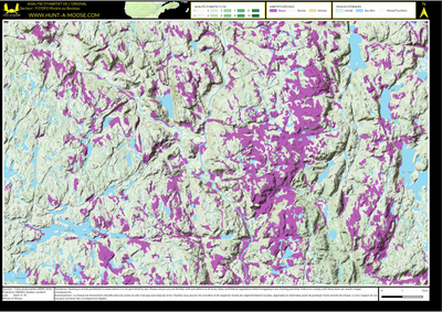 FO70FO Riviere au Bouleau ((Hunt-A-Moose)) Preview 1