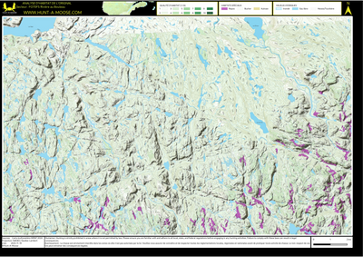 FO70FS Riviere au Bouleau ((Hunt-A-Moose)) Preview 1