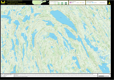 FO80OW Lac Blondin ((Hunt-A-Moose)) Preview 1