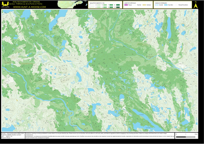 FO81UG Lac de la Pointe en Fleche ((Hunt-A-Moose)) Preview 1