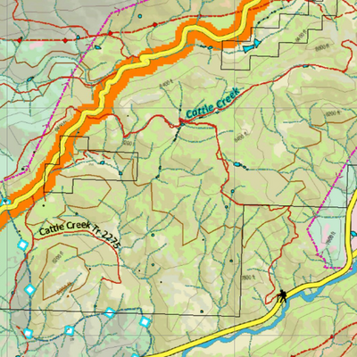 CO Unit 24 Elk Concentrations and Migration Preview 3
