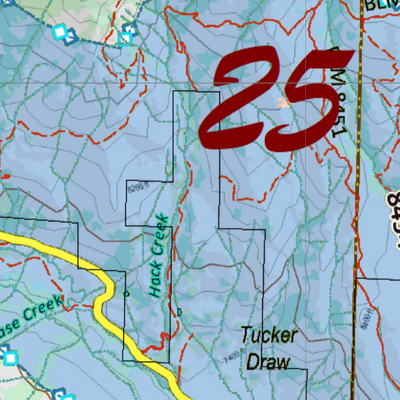CO Unit 25 Elk Concentrations and Migration Preview 2