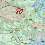 CO Unit 80 Elk Concentrations and Migration Preview 2