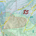 CO Unit 85 Elk Concentrations and Migration Preview 2