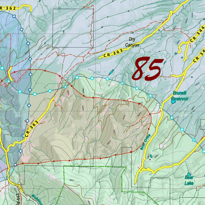 CO Unit 85 Elk Concentrations and Migration Preview 2