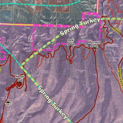 HuntData LLC Colorado Unit 73 Turkey, Goose, and Pheasant Concentration Map digital map