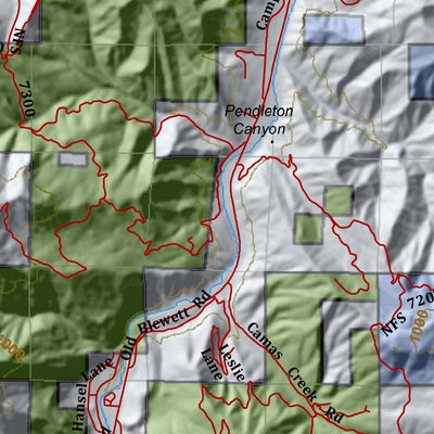 HuntData LLC Washington Hunting Unit(s) 250 251 Landownership Map digital map