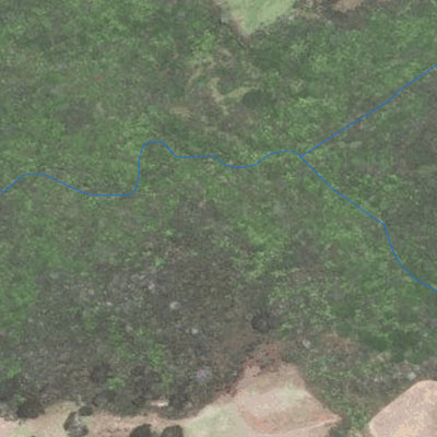 IC Geosolution Falls lookout & Goldie Bush & Mokoroa Stream Track digital map