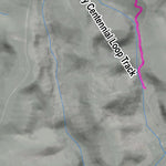 IC Geosolution Motutapu Island tracks digital map