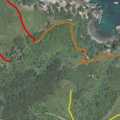 IC Geosolution Tiritiri Island digital map