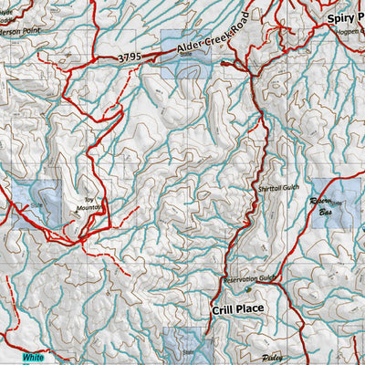 Idaho HuntData LLC Idaho Controlled Antelope Unit 41(1) Land Ownership Map (41-1 ) digital map
