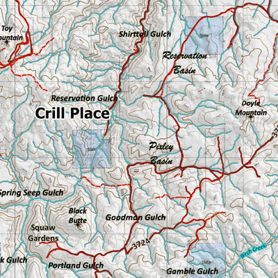 Idaho HuntData LLC Idaho Controlled Mule Deer Unit 41(1) Land Ownership Map (41-1) digital map