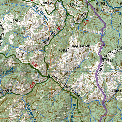 Frank Church-River of No Return Wilderness Northeast Quadrant Preview 2