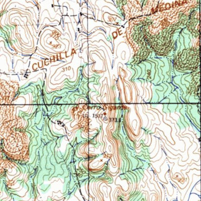 Instituto Geográfico Militar de Uruguay Arroyo del Soldado (G25) digital map