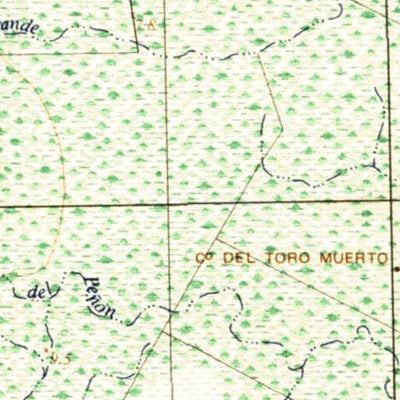 Instituto Geográfico Militar de Uruguay Cañada Grande (C23) digital map