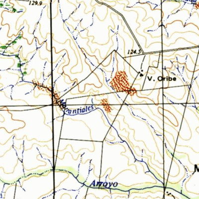 Instituto Geográfico Militar de Uruguay Dionisio (D19) digital map