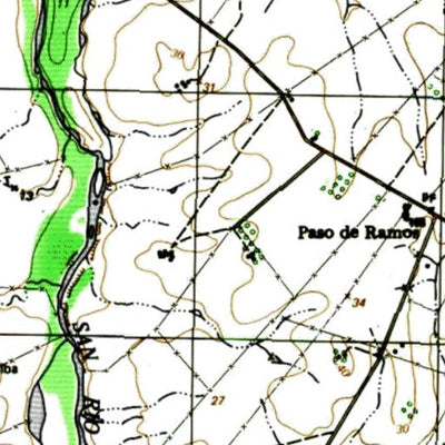 Instituto Geográfico Militar de Uruguay Dolores (P22) digital map