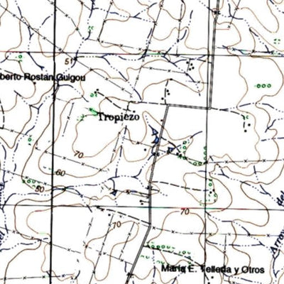 Instituto Geográfico Militar de Uruguay Salto (O10) digital map