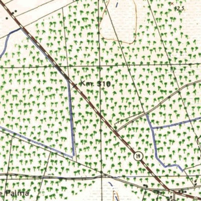Instituto Geográfico Militar de Uruguay San Luis (C22) digital map