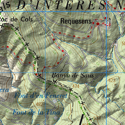Instituto Geográfico Nacional de España Agullana (0220) digital map