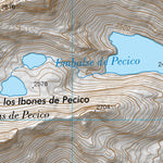 Instituto Geográfico Nacional de España Sallent de Gállego (0145-2) digital map