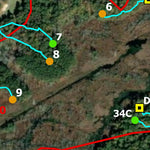 Fort Lee - Blackwater Swamp and Bull Hill Hunting Map 2025-2026 Preview 2