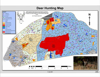 Fort Jackson Deer Hunting Preview 1