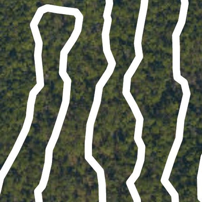 JaxParks Losco Park digital map