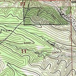 Jonathan Ley CDT New Mexico 38b bundle exclusive