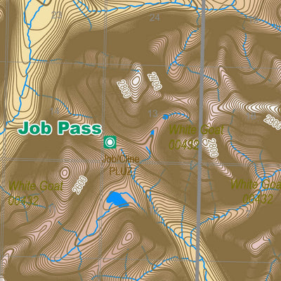 WMU 432 White Goat Preview 2
