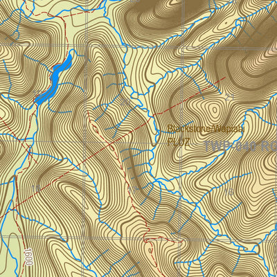 WMU 432 White Goat Preview 3