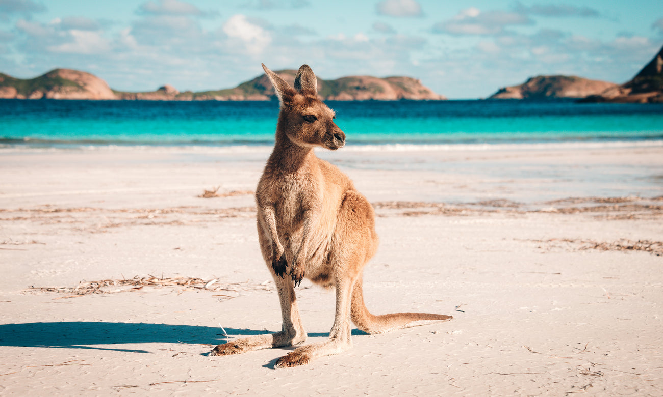 Esperance Kangaroo Beach