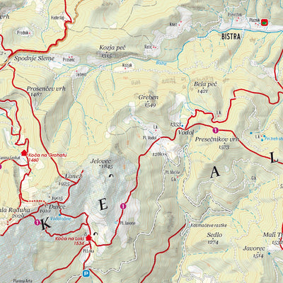 Kartografija d.o.o. Kamniško-Savinjske Alpe in Koroška 1 : 40 000 Kartografija digital map