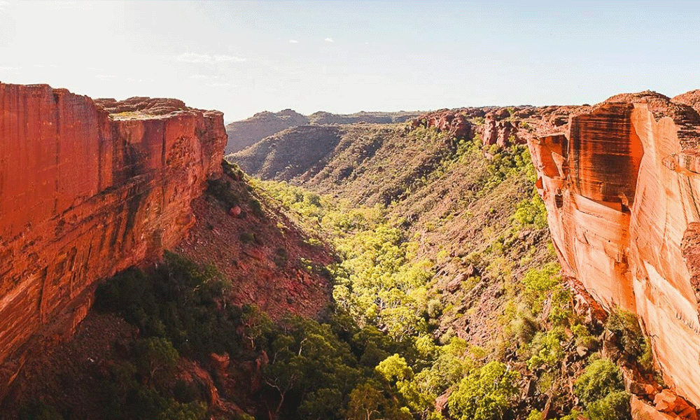 Kings Canyon Rim Trail