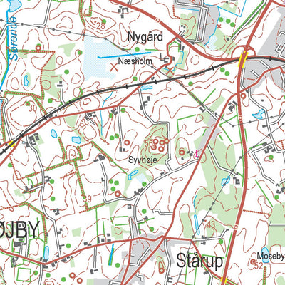 Kortforsyningen Nykøbing Sj (1:50,000 scale) digital map
