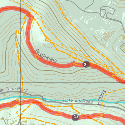 Kunanyi Mountain Run Foothills 14km Preview 2