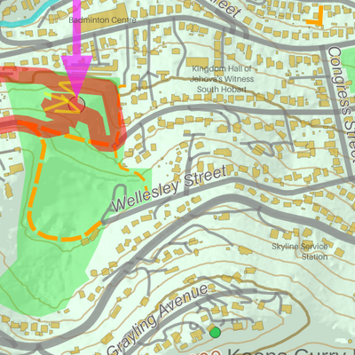 Kunanyi Mountain Run Foothills 5km Preview 3
