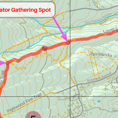 Kunanyi Mountain Run Vertical Downhill Preview 2