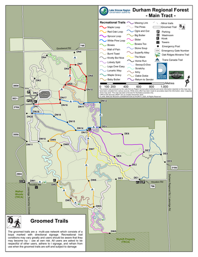 Groomed Trails Durham Regional Forest - Main Tract Preview 1