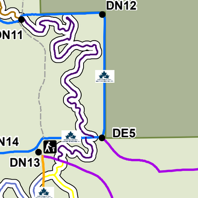 Groomed Trails Durham Regional Forest - Main Tract Preview 2