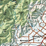 Land Info Worldwide Mapping LLC 08 Wellington digital map