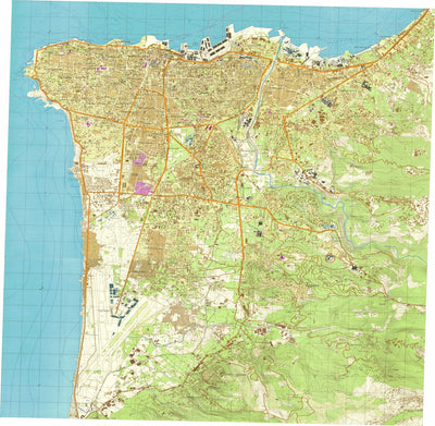 Land Info Worldwide Mapping LLC Beirut digital map