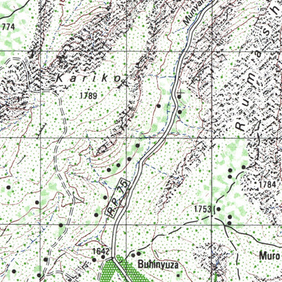 Land Info Worldwide Mapping LLC Burundi 50K 4974 4 digital map