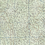 Land Info Worldwide Mapping LLC Calakmul (E16A81) digital map