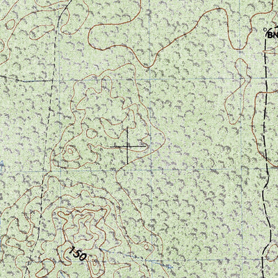Land Info Worldwide Mapping LLC Cinco De Mayo (E16A53) digital map