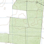 Land Info Worldwide Mapping LLC Dzitás (F16C55) digital map