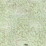Land Info Worldwide Mapping LLC El Ramonal (E16A71) digital map