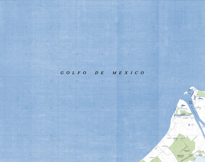 Land Info Worldwide Mapping LLC Felipe Carrillo Puerto (E15B61) digital map