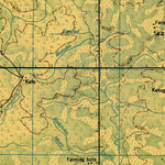 Land Info Worldwide Mapping LLC JOG - nc-29-16-1-ground digital map